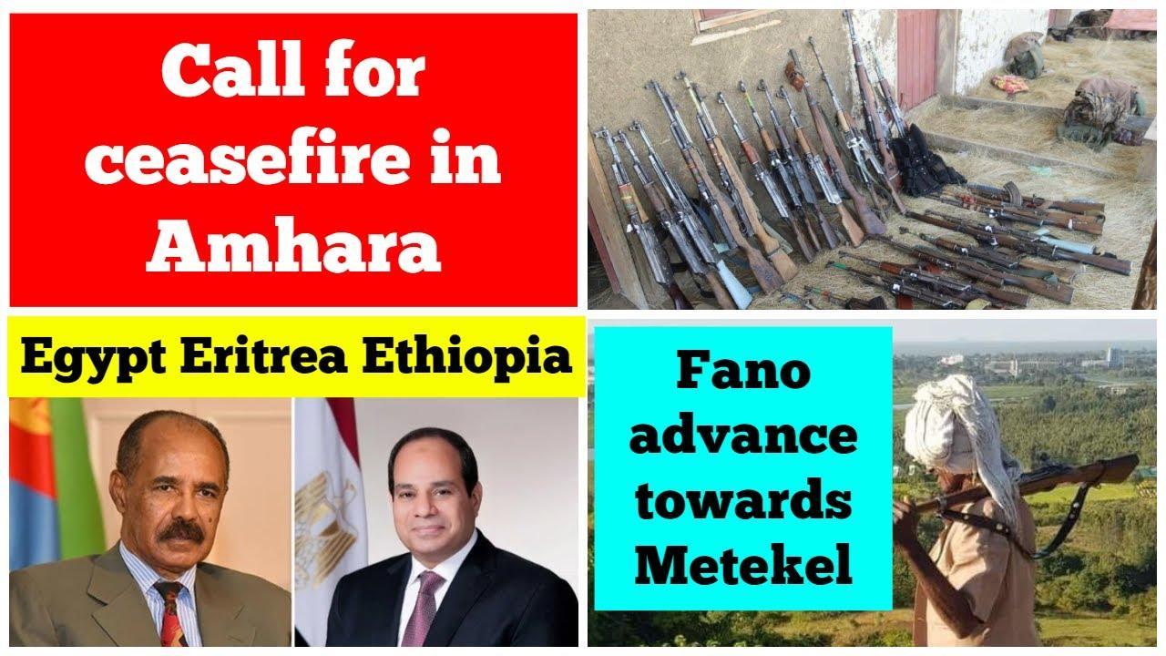Call for ceasefire in Amhara | Egypt Ethiopia Eritrea | Fano advance towards Metekel