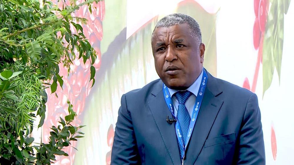 Ethiopia Showcases Concrete Climate Action Efforts at COP28 Ethiopia Showcases Concrete Climate Action Efforts at COP28