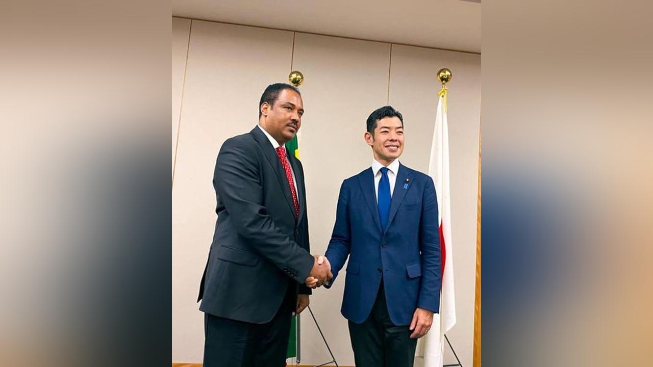 Ethiopia, Japan Hold Inaugural Political Consultation In Tokyo - Ethiopia