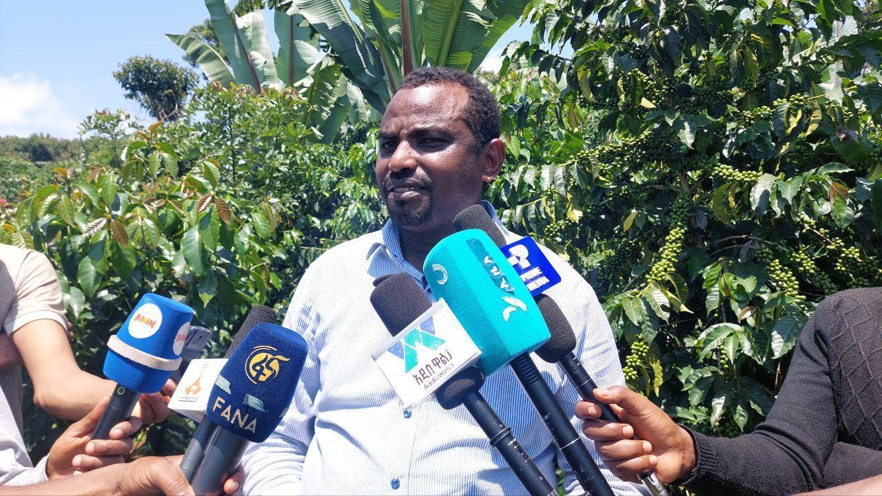 Farmers in Oromia's West Guji Zone Expanding Cultivation of High ...