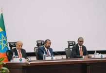 Ethiopia’s Progress in Geostrategic and Economic Development Ethiopia's Progress in Geostrategic and Economic Development
