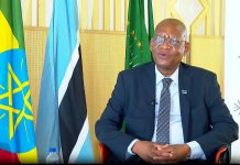 Ethiopia Botswana Strengthen Ties on African Unity Ethiopia Botswana Strengthen Ties on African Unity