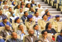 GERD Enhances Ethiopia’s Regional Role and Integration GERD Enhances Ethiopia's Regional Role and Integration