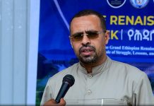 Ethiopia’s GERD Diplomacy Inspires African Nations: IFA Ethiopia's GERD Diplomacy Inspires African Nations: IFA