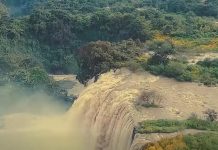 End of Colonial Roots End of Colonial Roots