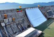 Gerd As A Proud Legacy Honored Across Generations Gerd As A Proud Legacy Honored Across Generations