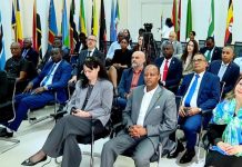 Ethiopia Commits to Advancing Peace and Stability in Africa Ethiopia Commits to Advancing Peace and Stability in Africa