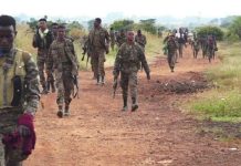Ethiopians in Amsterdam Call for Peaceful Transition Ethiopians in Amsterdam Call for Peaceful Transition