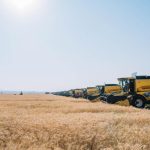 Ethiopia’s Wheat Productivity Grows Year-on-Year Ethiopia's Wheat Productivity Grows Year-on-Year