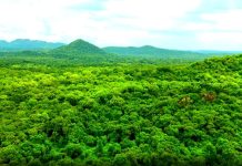 Anywaa Biosphere Reserve and Ethiopia’s Biodiversity Success Anywaa Biosphere Reserve and Ethiopia's Biodiversity Success