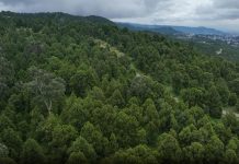 Ethiopia’s Biodiversity Conservation Benefits All Ethiopia's Biodiversity Conservation Benefits All