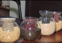 Ethiopian Sesame And Beans See Global Growth Ethiopian Sesame And Beans See Global Growth