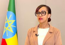 Ethiopia Leverages G20 Summit to Strengthen Ties Ethiopia Leverages G20 Summit to Strengthen Ties