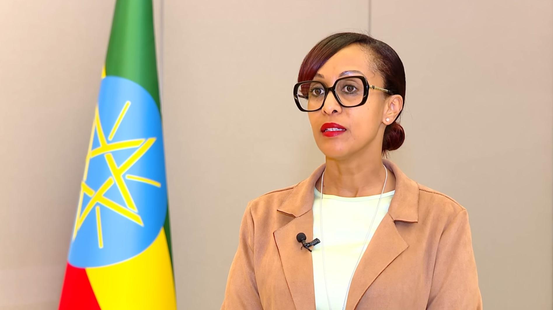 Ethiopia Leverages G20 Summit to Strengthen Ties Ethiopia Leverages G20 Summit to Strengthen Ties