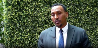 Ethiopia Sees 4 Billion USD FDI Surge and 61% Rise Ethiopia Sees 4 Billion USD FDI Surge and 61% Rise