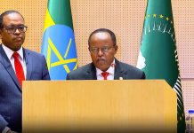 President Taye Advocates for Strong Constitutions in Africa President Taye Advocates for Strong Constitutions in Africa