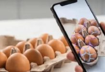 Customer Cracks 20 Eggs With Gemini Nano Gets Refund Customer Cracks 20 Eggs With Gemini Nano Gets Refund