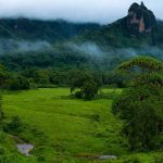 Bale Mountains Park Tourism Soars Local Economy Boosted Bale Mountains Park Tourism Soars Local Economy Boosted