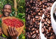 African Coffee Exports Reach Record 1.18 Million Tons African Coffee Exports Reach Record 1.18 Million Tons