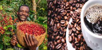 African Coffee Exports Reach Record 1.18 Million Tons African Coffee Exports Reach Record 1.18 Million Tons