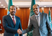 Ethiopia, African Union Explore Joint Efforts for Truly African COP Ethiopia, African Union Explore Joint Efforts for Truly African COP