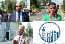 Ethiopian Lawmakers See India Ties as Growth Chance Ethiopian Lawmakers See India Ties as Growth Chance