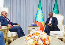 Ethiopia Djibouti Reaffirm Commitment to Strategic Partnership Ethiopia Djibouti Reaffirm Commitment to Strategic Partnership