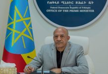 Ethiopia’s New Entrepreneurship Policy to Boost Jobs Ethiopia's New Entrepreneurship Policy to Boost Jobs