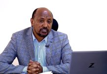 Irrigation Wheat Farming Boosts Ethiopia’s Food Sovereignty Irrigation Wheat Farming Boosts Ethiopia's Food Sovereignty