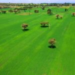 Ethiopia’s Shift to Modern Farming Drives Transformation Ethiopia's Shift to Modern Farming Drives Transformation