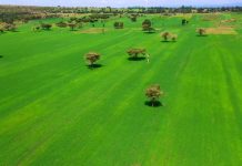 Ethiopia’s Shift to Modern Farming Drives Transformation Ethiopia's Shift to Modern Farming Drives Transformation