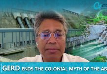 Gerd Success Highlights Ethiopia’s Resilience and Africa’s Strength Gerd Success Highlights Ethiopia's Resilience and Africa's Strength