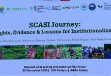 SCASI Project Transforms Ethiopian Traditional Farming SCASI Project Transforms Ethiopian Traditional Farming