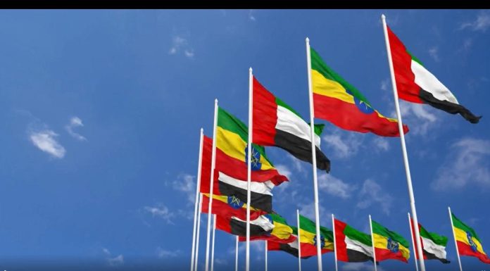 Ethiopia UAE Reaffirm Strategic Partnership and Cooperation Ethiopia UAE Reaffirm Strategic Partnership and Cooperation