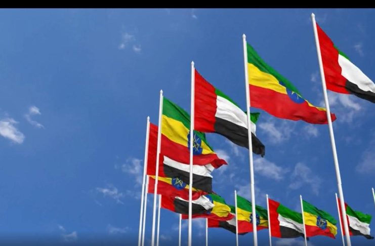 Ethiopia UAE Reaffirm Strategic Partnership and Cooperation Ethiopia UAE Reaffirm Strategic Partnership and Cooperation