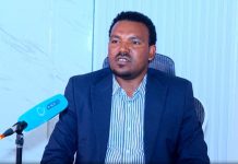 Peacebuilding Fuels Tourism Surge in Amhara Region Peacebuilding Fuels Tourism Surge in Amhara Region