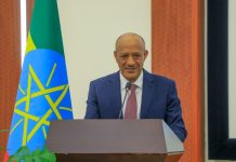 Institutions Accountable to Abiy Undergo Performance Review Institutions Accountable to Abiy Undergo Performance Review