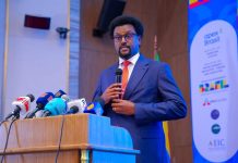 Ethiopia Emerges as Prime Investment Destination Ethiopia Emerges as Prime Investment Destination