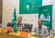 AU Commissioner Lauds GERD as Africa’s Self-Financed Model AU Commissioner Lauds GERD as Africa's Self-Financed Model