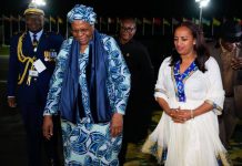 Namibia President and Cameroon Prime Minister Arrive in Addis Ababa Namibia President and Cameroon Prime Minister Arrive in Addis Ababa