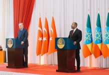 Ethiopia Seeks Türkiye’s Support for Peaceful Sea Access Ethiopia Seeks Türkiye's Support for Peaceful Sea Access