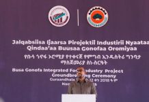 PM Abiy Establishes Busa Gonofa Food Industry Foundation PM Abiy Establishes Busa Gonofa Food Industry Foundation