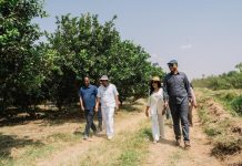 Abiy Highlights Irrigation Expansion for Food Sovereignty Abiy Highlights Irrigation Expansion for Food Sovereignty