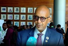 Ethiopia Advances Financial Sector Modernization: TDB Group Ethiopia Advances Financial Sector Modernization: TDB Group