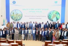 Ethiopia Launches National Sorghum Initiative Ethiopia Launches National Sorghum Initiative