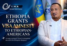 Ethiopia Grants Visa Amnesty to Diaspora Ethiopians Ethiopia Grants Visa Amnesty to Diaspora Ethiopians