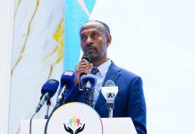 Multi-Sector Gains Signal Bright Future for Ethiopia Multi-Sector Gains Signal Bright Future for Ethiopia
