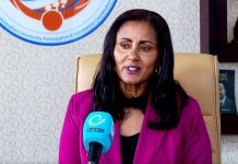 Integrated Volunteer Initiatives Enhance Community Gains Integrated Volunteer Initiatives Enhance Community Gains