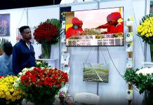 Ethiopian Horticulture Production Faces Rising Demand Ethiopian Horticulture Production Faces Rising Demand