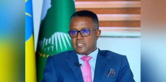 Ethiopia Ends UNHRC Vice-Presidency with Strong Diplomacy Ethiopia Ends UNHRC Vice-Presidency with Strong Diplomacy